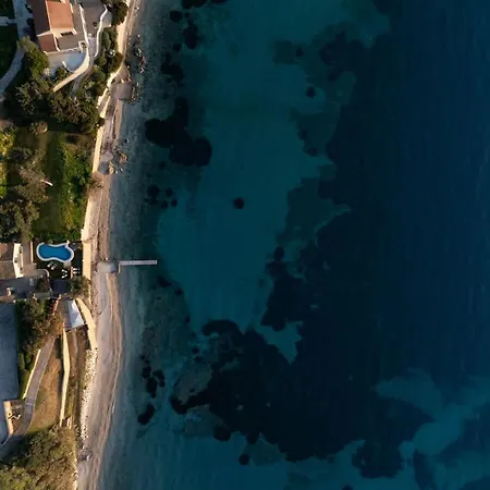 Alia, Your Modern Beachfront Escape